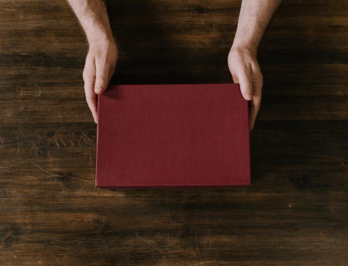 Beyond the Will: The “Red Book” Care Blueprint