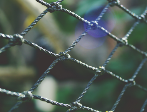 Designing Your Safety Net: Why Health Literacy Matters When Building a Family of Choice
